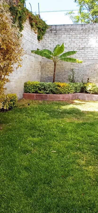 Quinta Los Arcos Villa Celaya  Ngoại thất bức ảnh